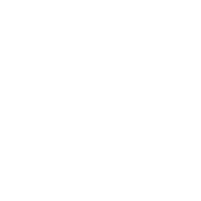 mg log 001